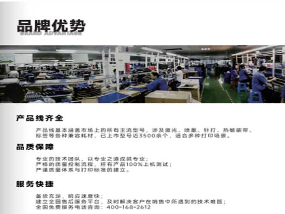 斐迪品牌策略